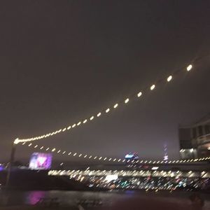 Meet your Posher, Rose